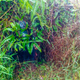Image for article titled What To Wear In The Jungle